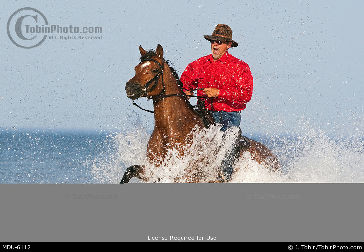 Horseback Riding in Water