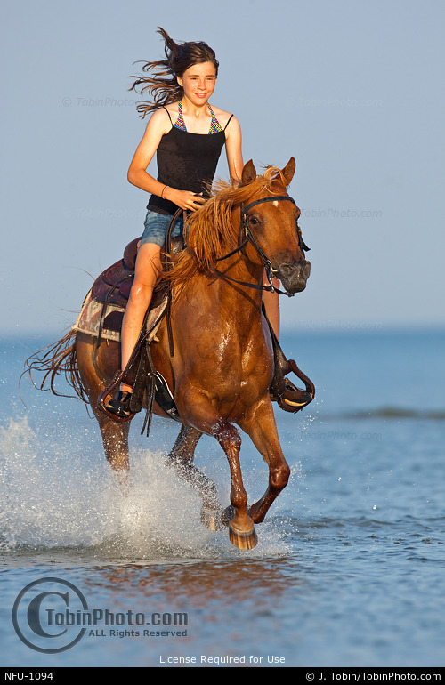 Ocean Horseback Riding