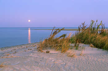 Chesapeake Bay Moonrise