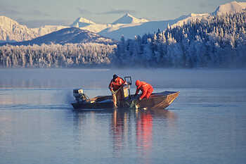 Coho Telemetry Study