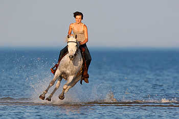 Girl Horseback Riding